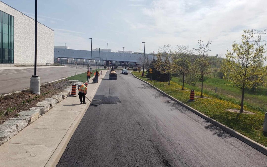 Asphalt Paving Excellence: A Comprehensive Guide to Preparation and Care