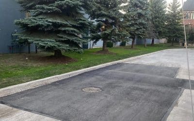 Year-Round Asphalt Maintenance Tips for Long-Lasting Results